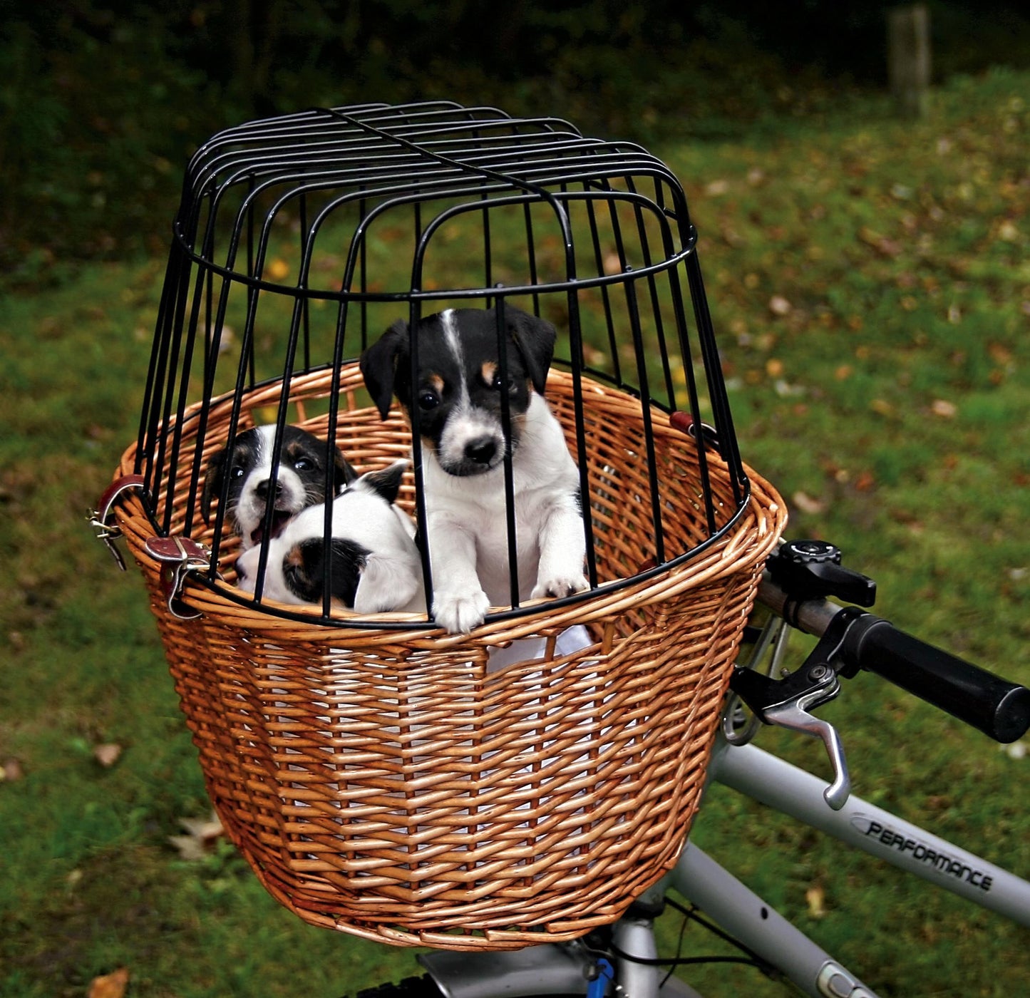 Coș pentru Câini din Nuiele Natural 44 x 48 x 33 cm pentru Bicicletă