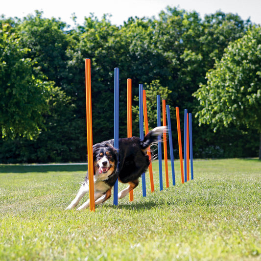 Jucărie Agility 115x3 cm 12 buc