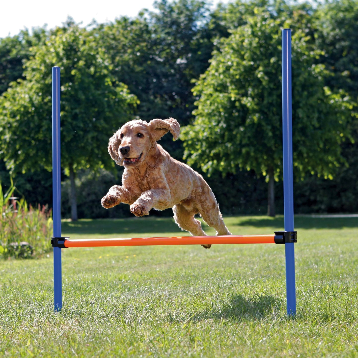 Jucărie Agility Obstacol Fier 129x115x3 cm