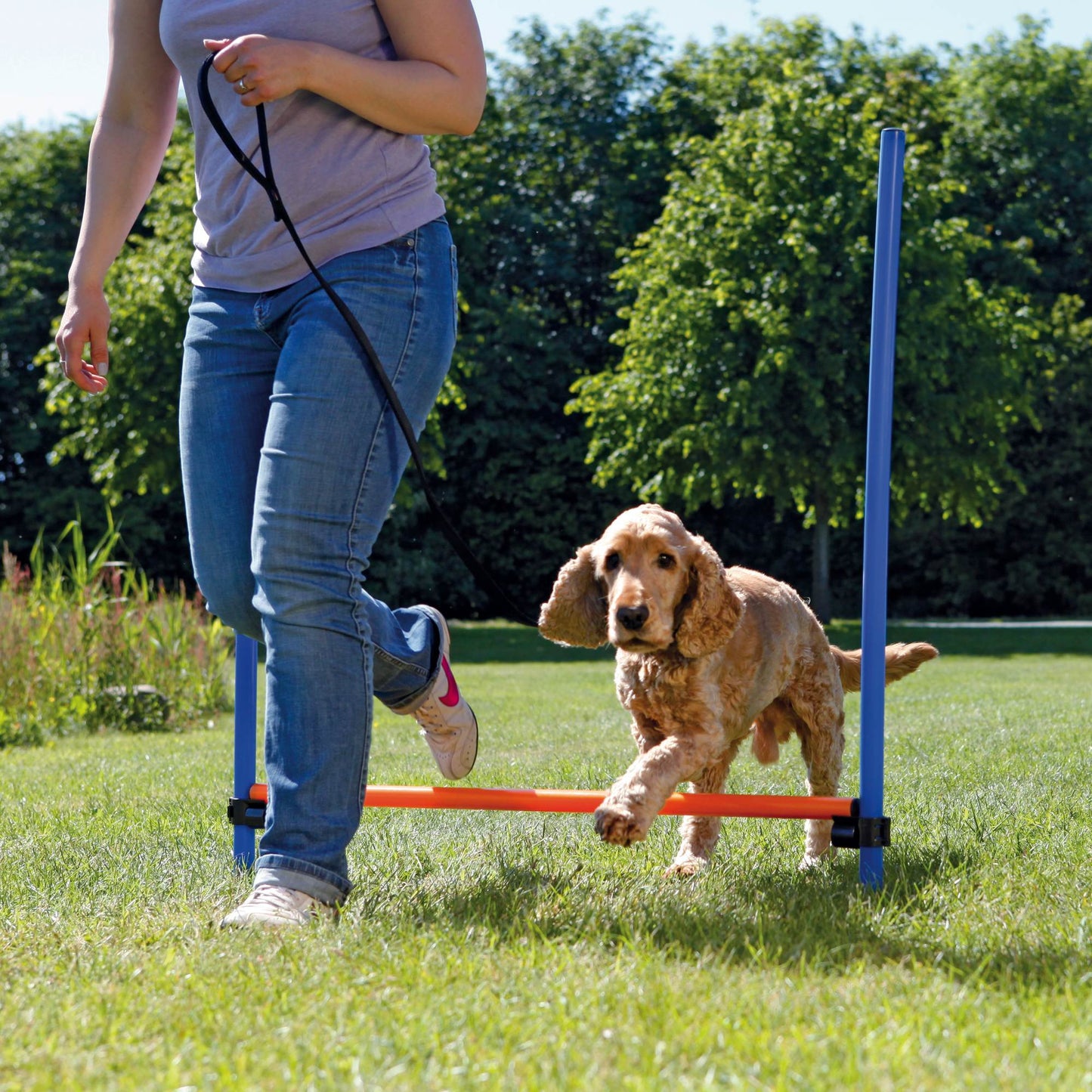 Jucărie Agility Obstacol Fier 129x115x3 cm