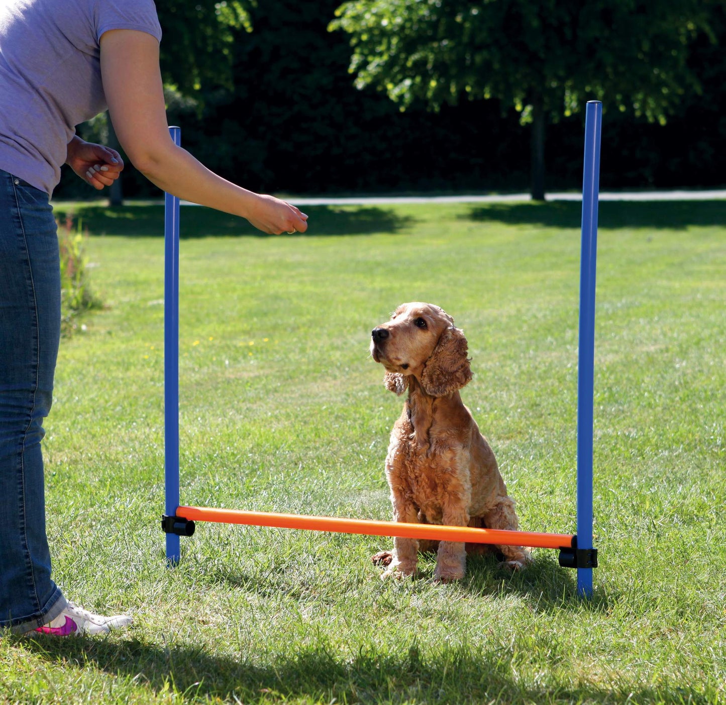 Jucărie Agility Obstacol Fier 129x115x3 cm