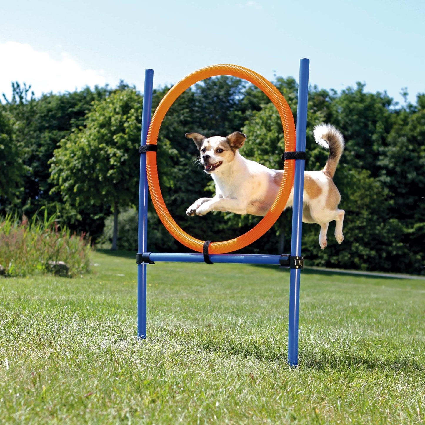 Jucărie Agility Ring 65 cm