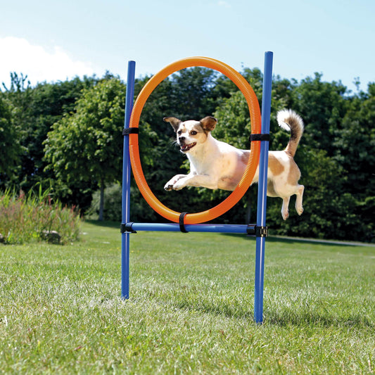 Jucărie Agility Ring 65 cm