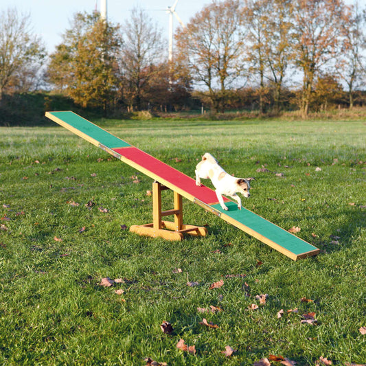 Jucărie Balansoar Agility Wippe 300x54x34 cm