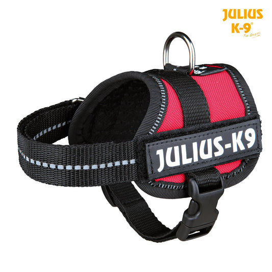 Ham Julius-K9 3XS 26-36 cm 18 mm - carlavet