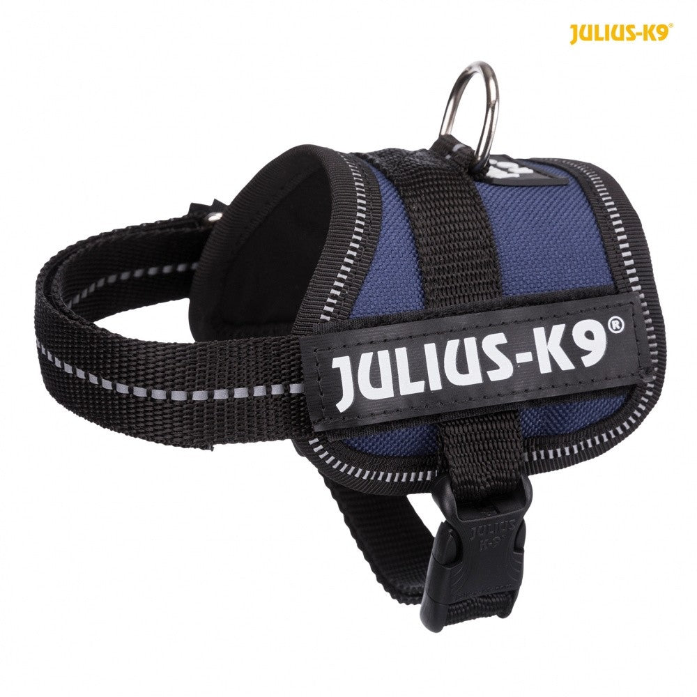 Ham Julius-K9 3XS 26-36 cm 18 mm - carlavet